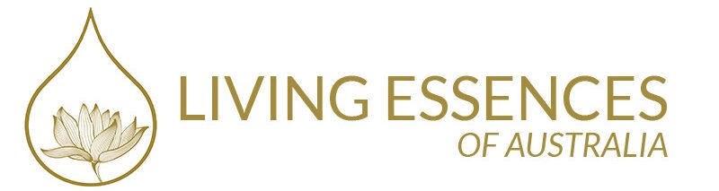 馥菘企業社-天然植物萃取、進口花精 、花精療法、平衡情緒、 放鬆心情、負面情緒、空間淨化、澳洲花精、嬰幼兒、動植物、脹氣救星、舒緩酸痛、居家保養、全身按摩、肩頸僵硬-line_oa_chat_250804_154135